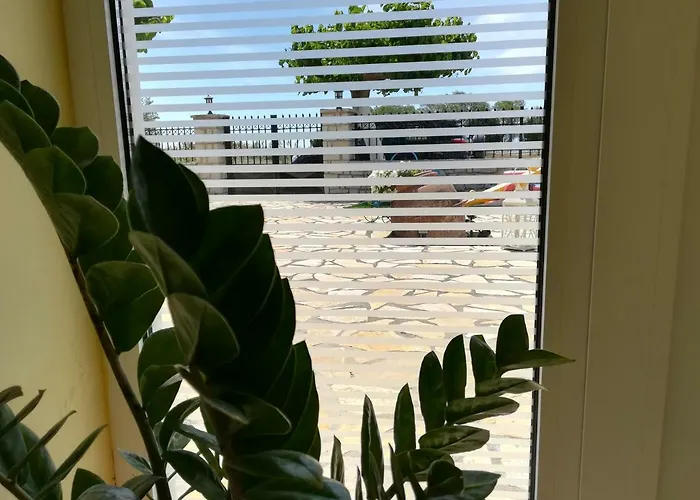 Guest house Eleftheria's Eratini